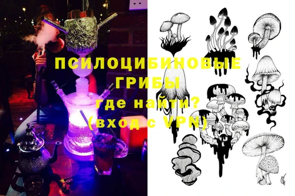 амф Новодвинск