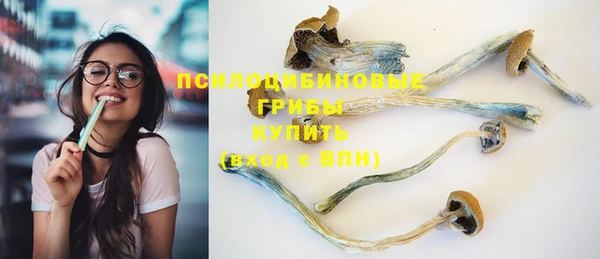 Альфа ПВП Новокубанск