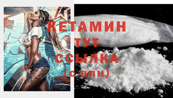 амф Новодвинск