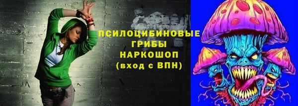 амф Новодвинск