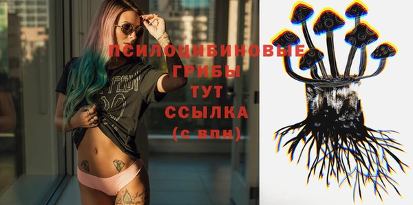 Альфа ПВП Новокубанск