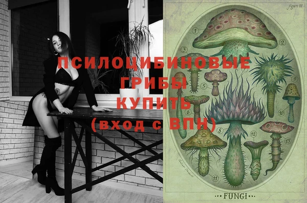 Альфа ПВП Новокубанск