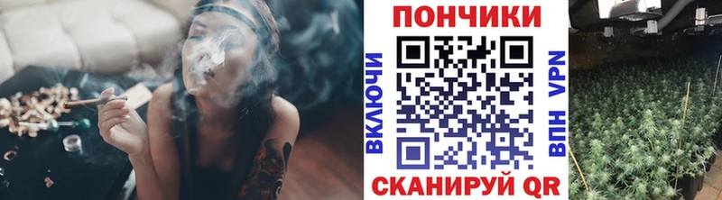 omg как зайти  хочу наркоту  Кириши  Канабис индика 